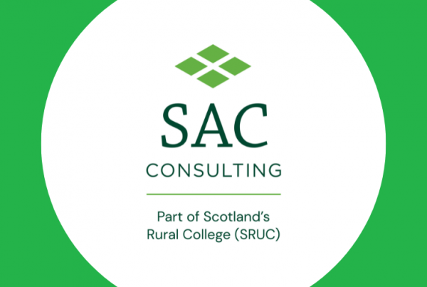 sac-consulting